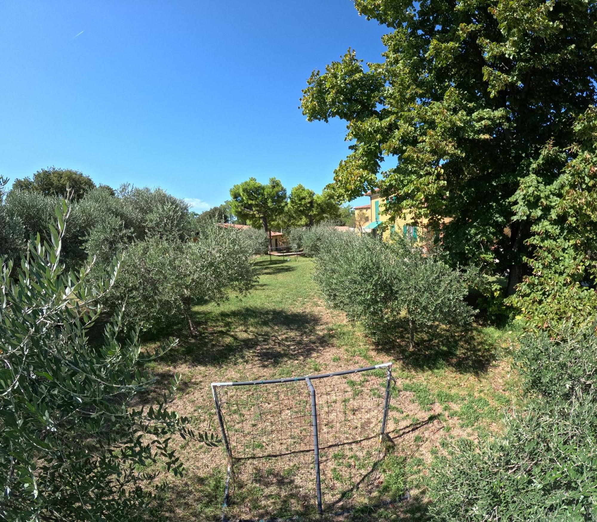 Agriturismo Gardenali Volta Mantovana Exterior photo