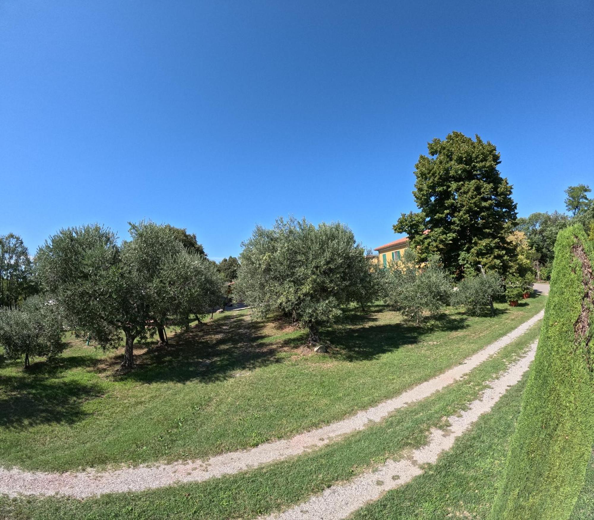 Agriturismo Gardenali Volta Mantovana Exterior photo