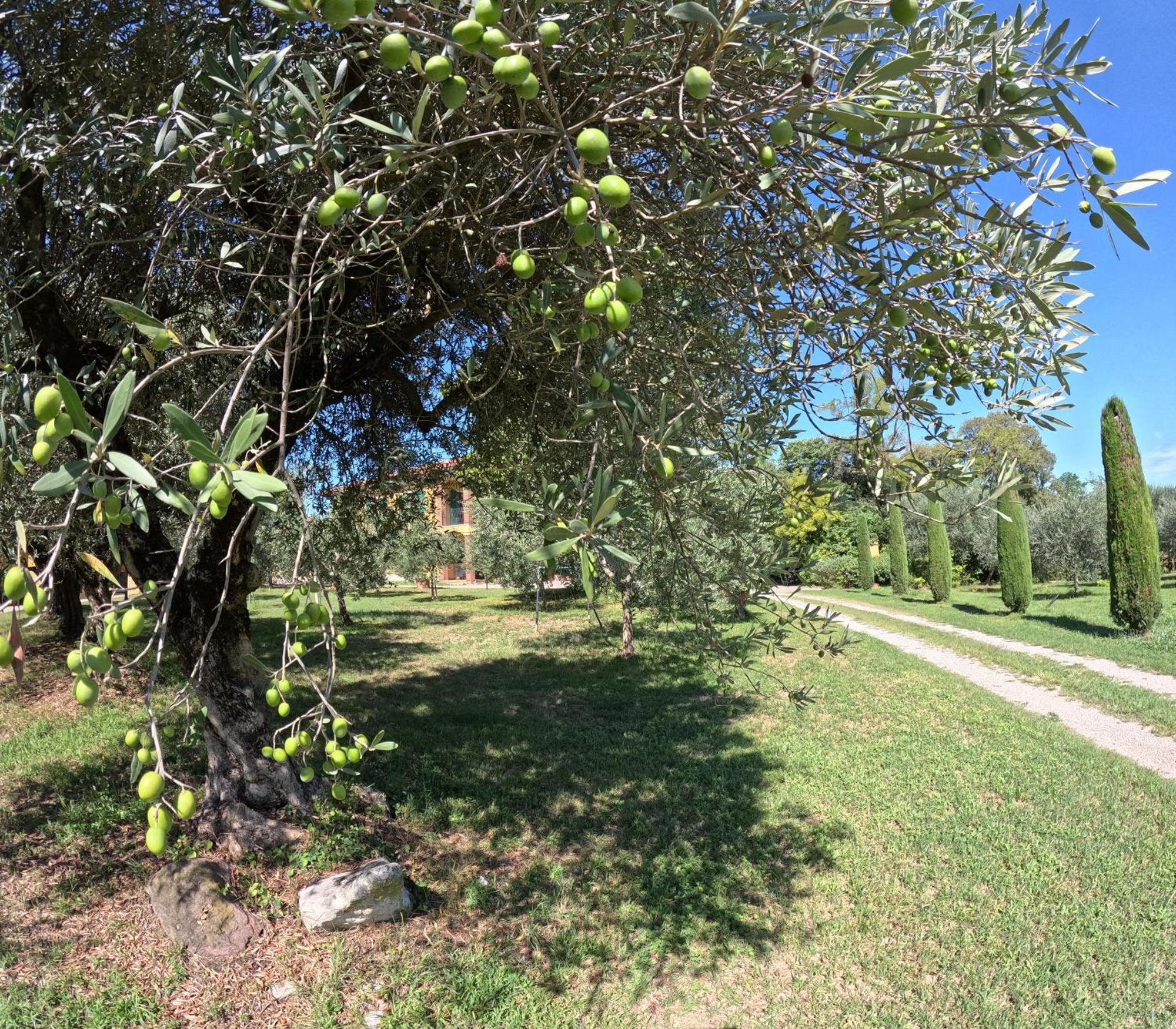 Agriturismo Gardenali Volta Mantovana Exterior photo