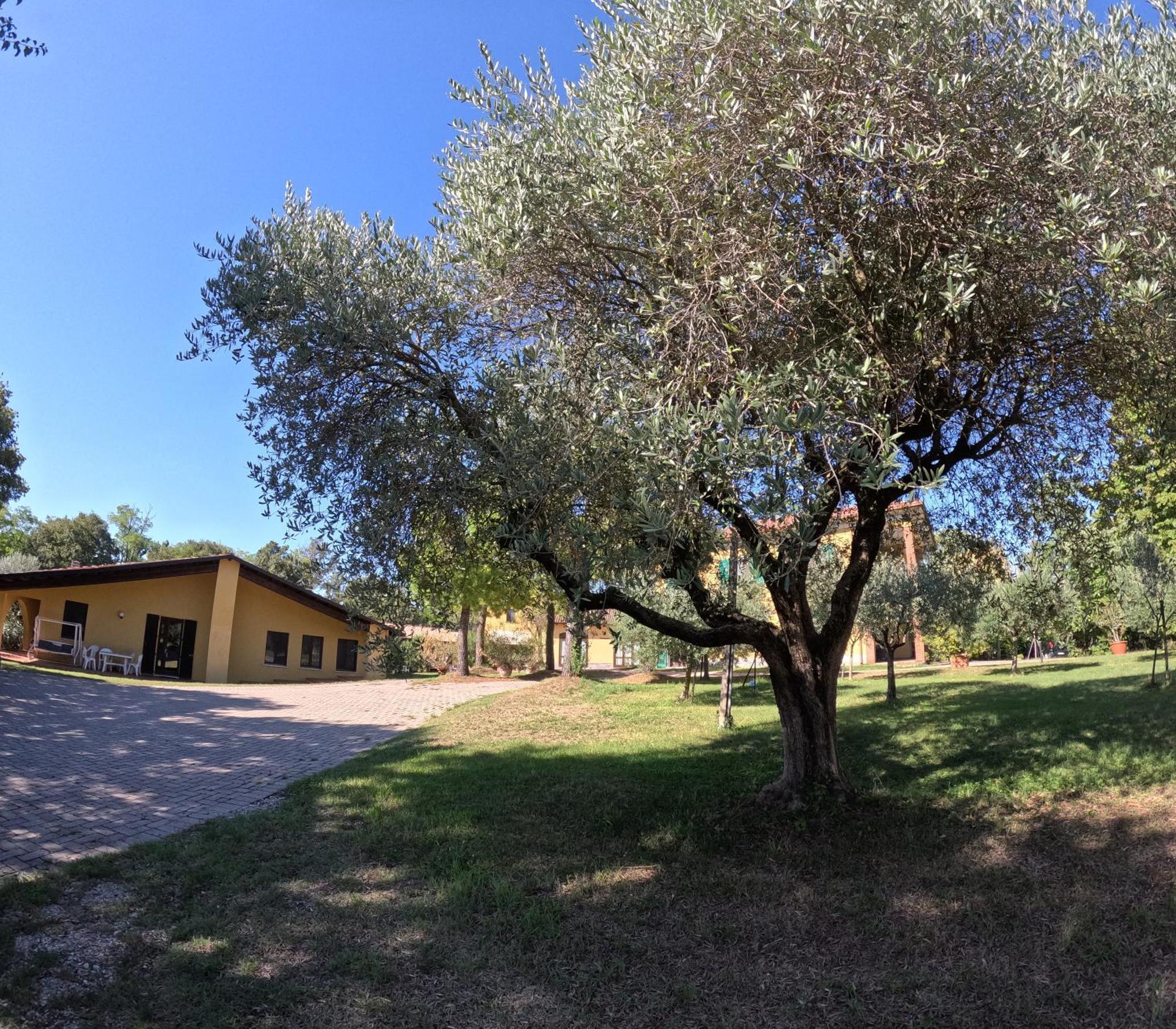 Agriturismo Gardenali Volta Mantovana Exterior photo