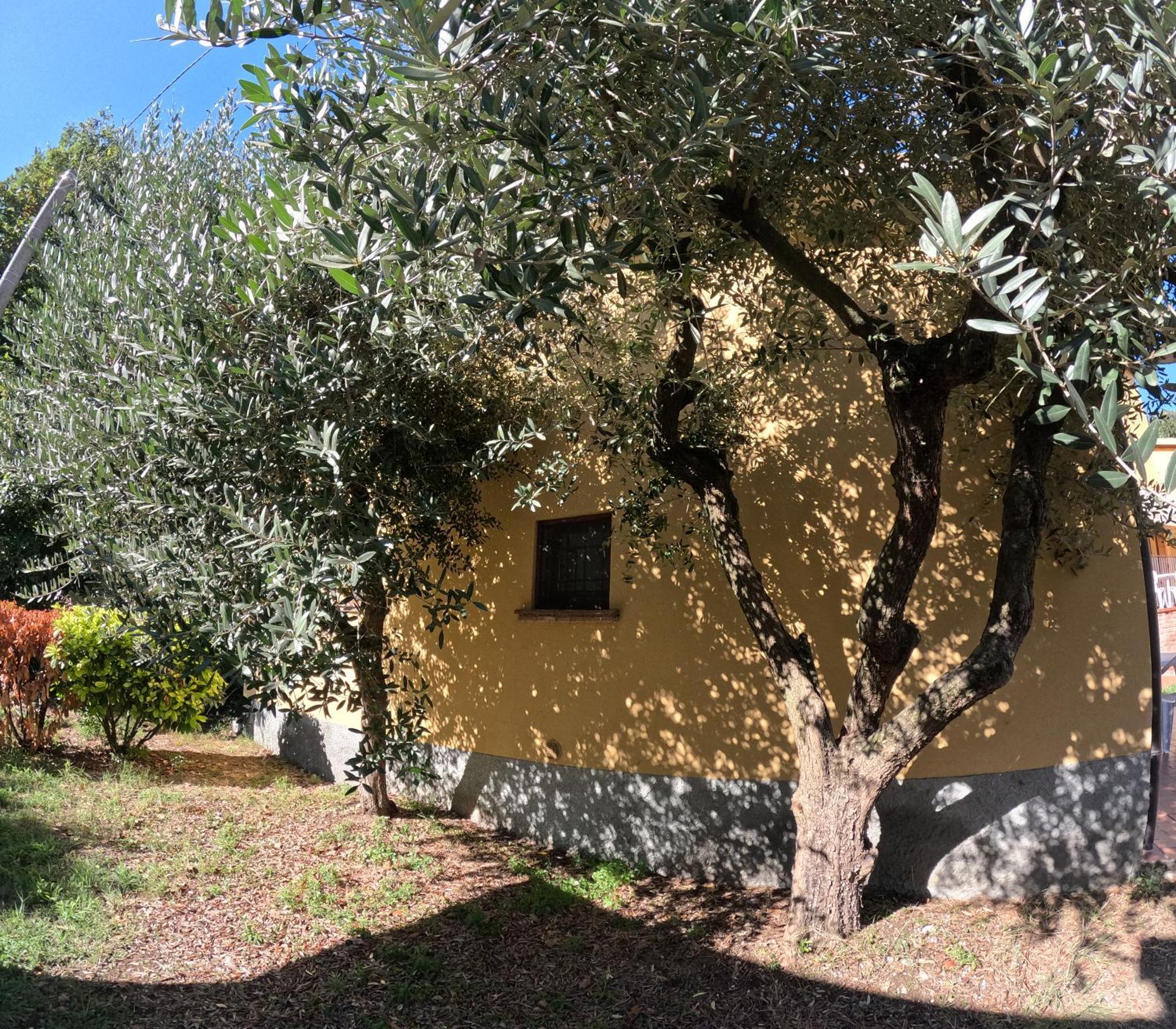 Agriturismo Gardenali Volta Mantovana Exterior photo